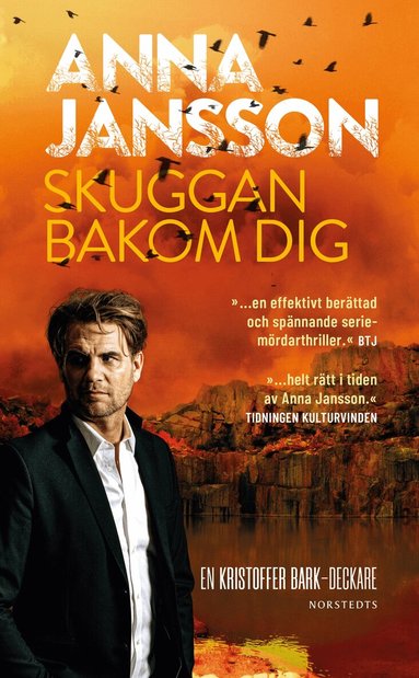 Anna Jansson - Skuggan bakom dig, Pocket