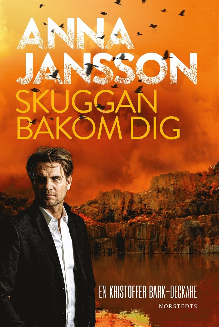 Anna Jansson - Skuggan bakom dig, E-bok