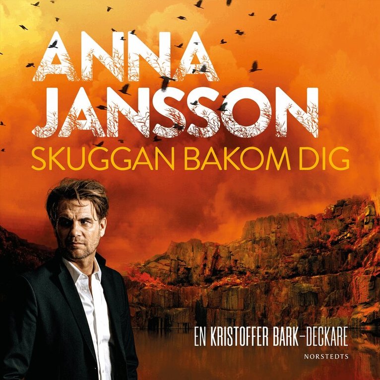 Anna Jansson - Skuggan bakom dig, Ljudbok