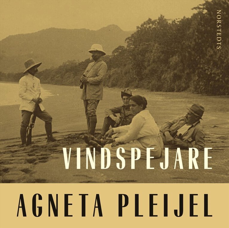 Agneta Pleijel - Vindspejare : boken om Abel målaren, Ljudbok