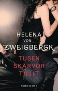 Tusen skärvor tillit