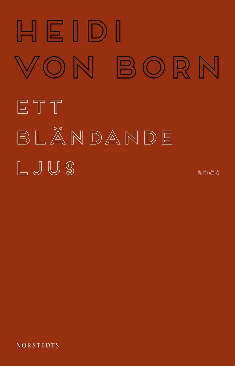 Heidi von Born - Ett bländande ljus, E-bok