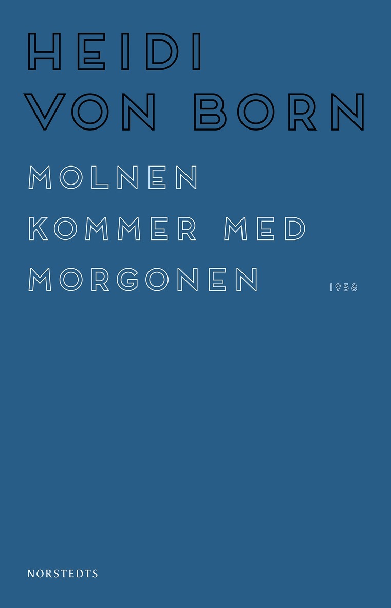 Heidi von Born - Molnen kommer med morgonen, E-bok