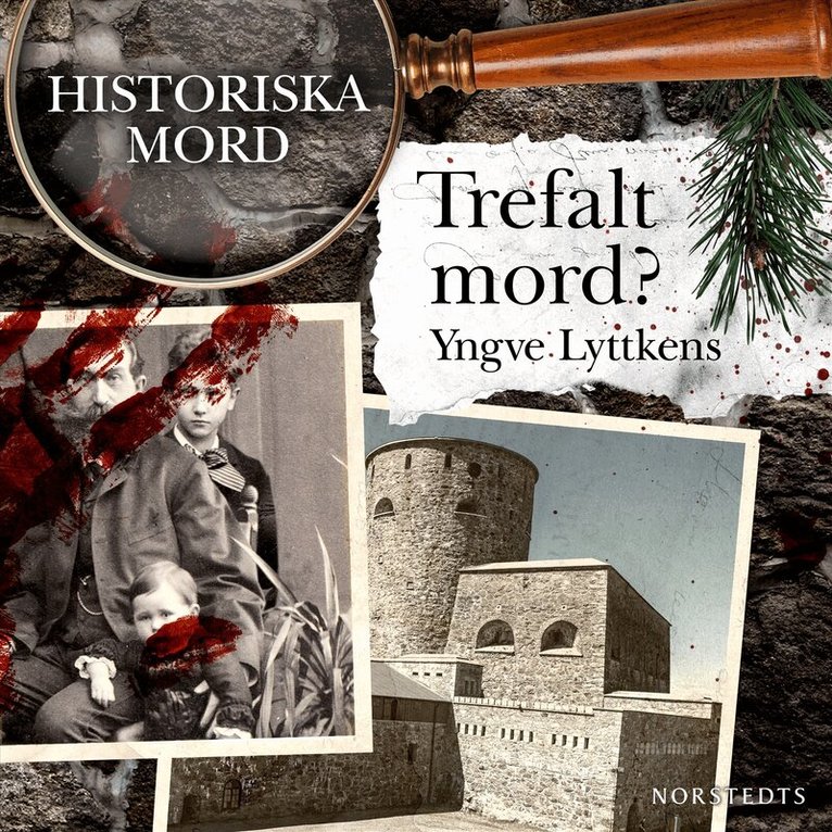 Yngve Lyttkens - Trefalt mord? : Historiska mord del 7, Ljudbok. Tillgänglighet: Lägg i varukorg