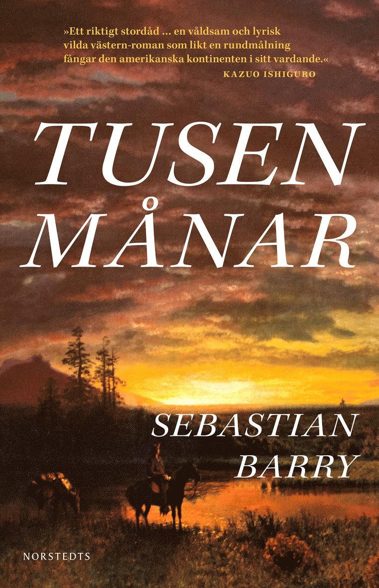 Sebastian Barry - Tusen månar, E-bok