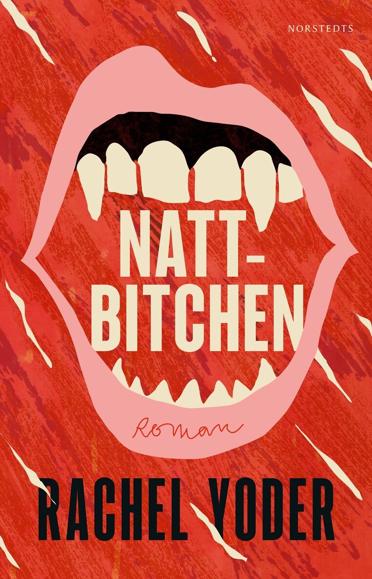 Rachel Yoder - Nattbitchen, E-bok