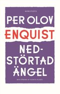 Nedstrtad ngel
