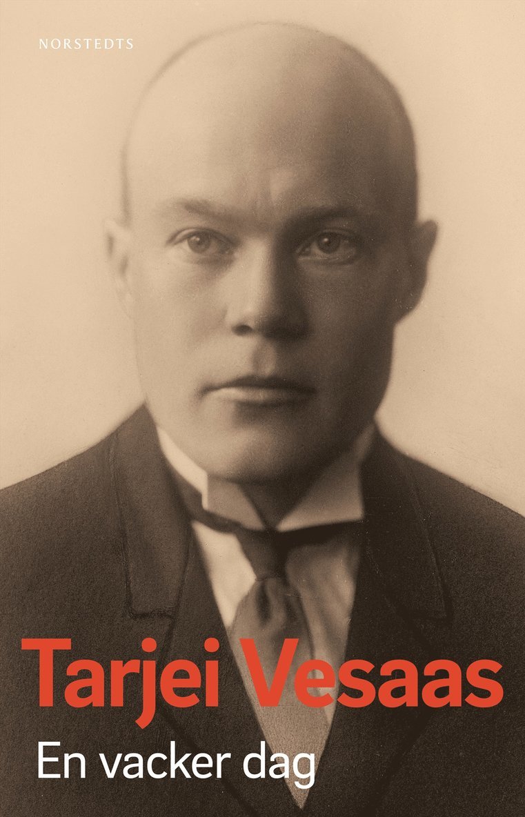 Tarjei Vesaas - En vacker dag, E-bok