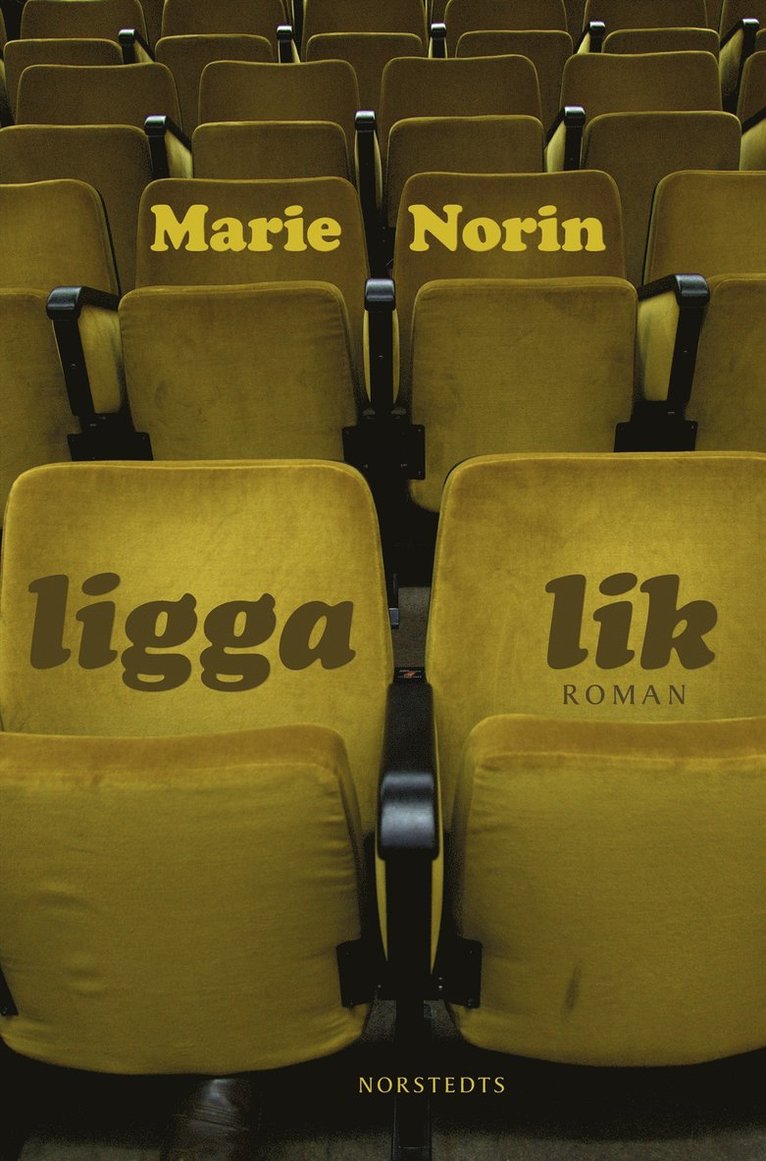 Marie Norin - Ligga lik, E-bok