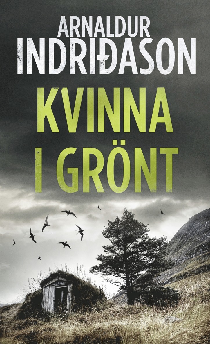 Arnaldur Indridason - Kvinna i grönt, E-bok