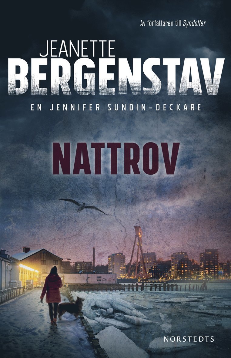 Jeanette Bergenstav - Nattrov, E-bok