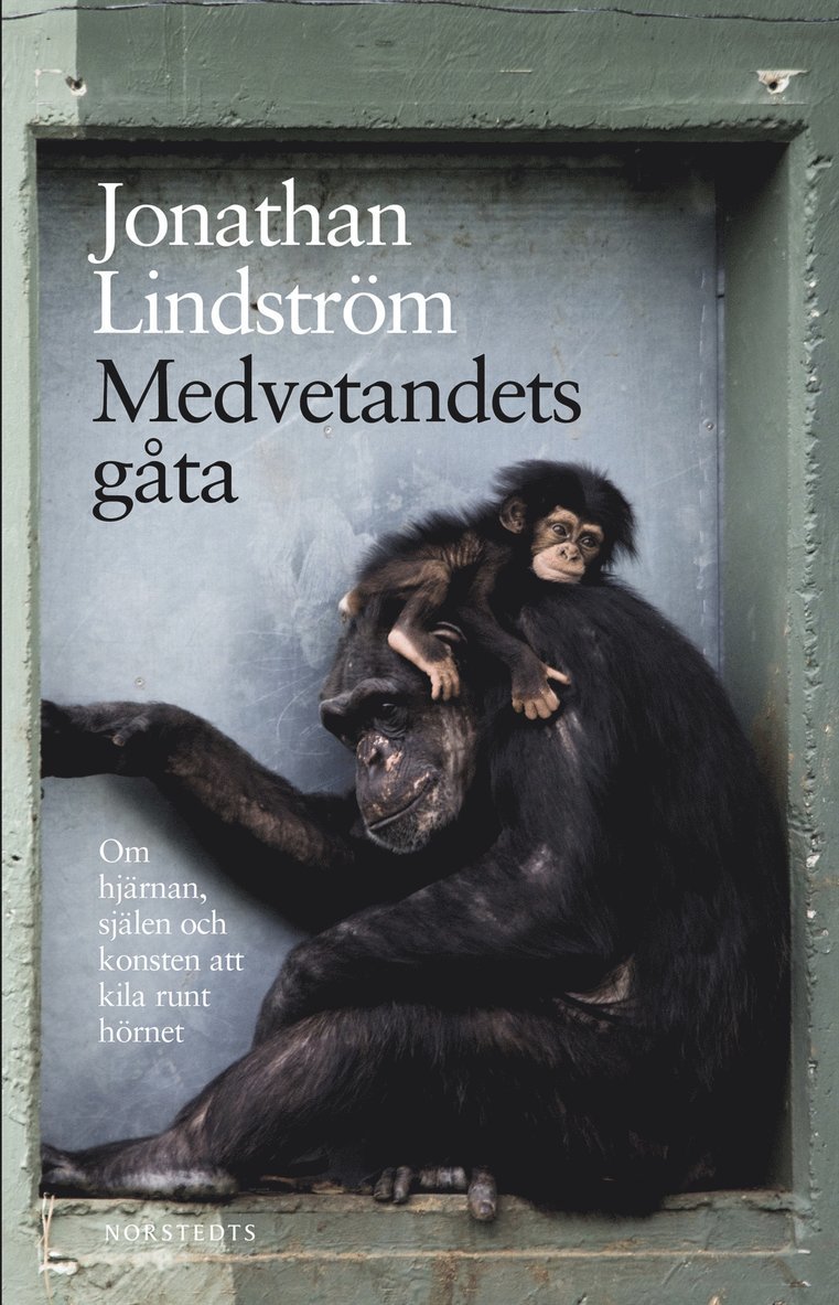 Jonathan Lindström - Medvetandets gåta : om hjärnan, själen och konsten att kila runt hörnet, Häftad