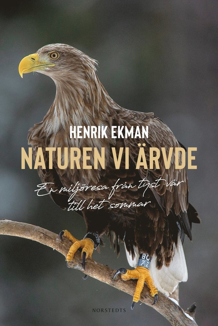Henrik Ekman - Naturen vi ärvde : En miljöresa från tyst vår till het sommar, E-bok
