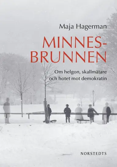 Maja Hagerman - Minnesbrunnen : om helgon, skallmätare och hotet mot demokratin, E-bok