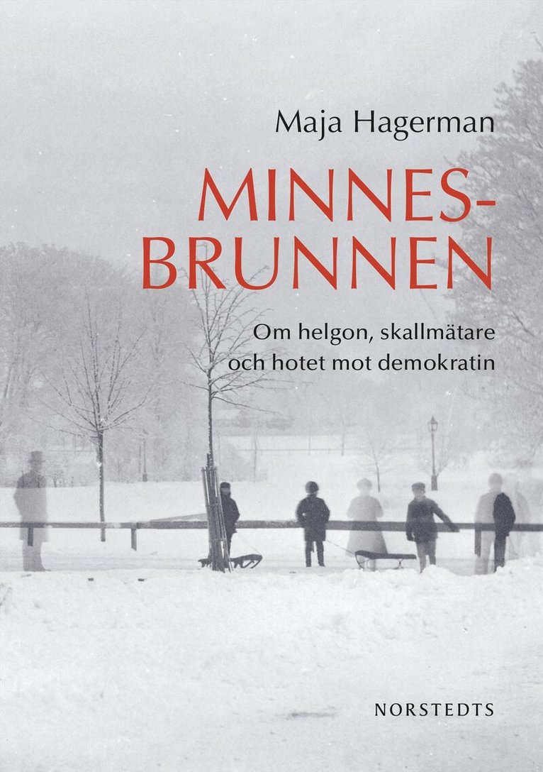 Maja Hagerman - Minnesbrunnen : om helgon, skallmätare och hotet mot demokratin, E-bok