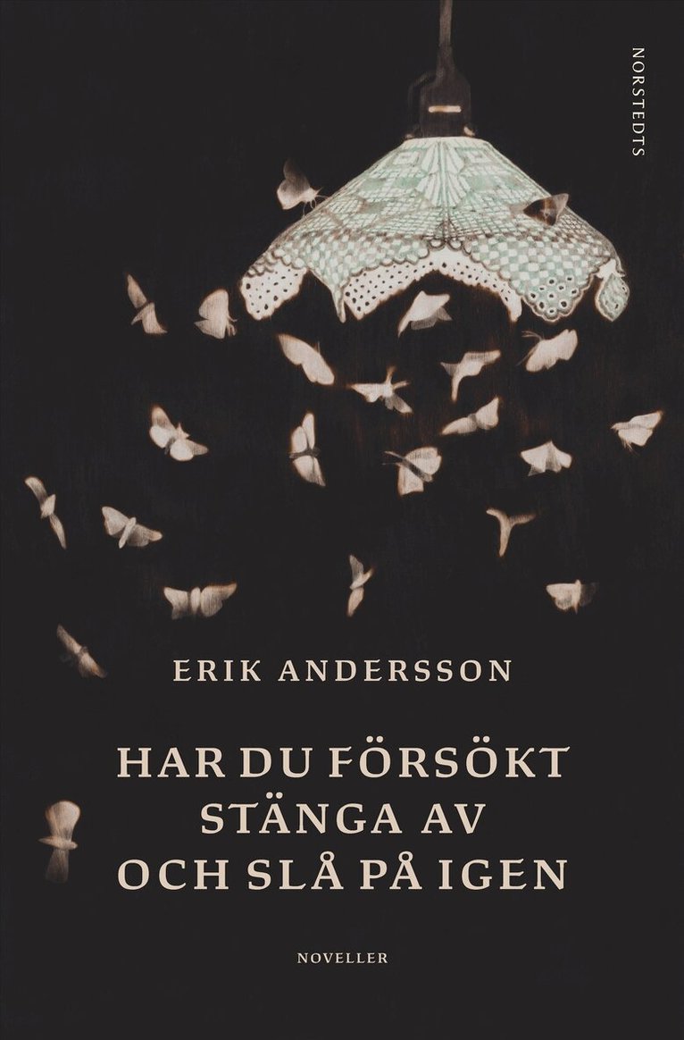 Erik Andersson - Har du försökt stänga av och slå på igen : noveller, E-bok