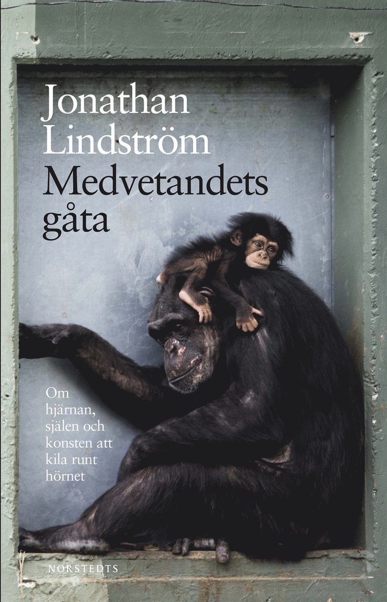 Jonathan Lindström - Medvetandets gåta : om hjärnan, själen och konsten att kila runt hörnet, E-bok