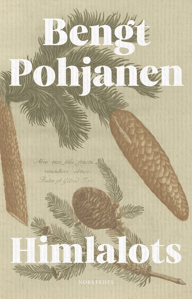 Bengt Pohjanen - Himlalots, E-bok