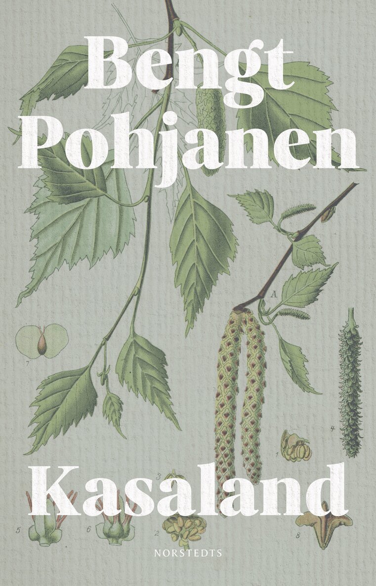 Bengt Pohjanen - Kasaland, E-bok