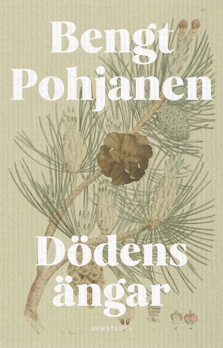 Bengt Pohjanen - Dödens ängar, E-bok