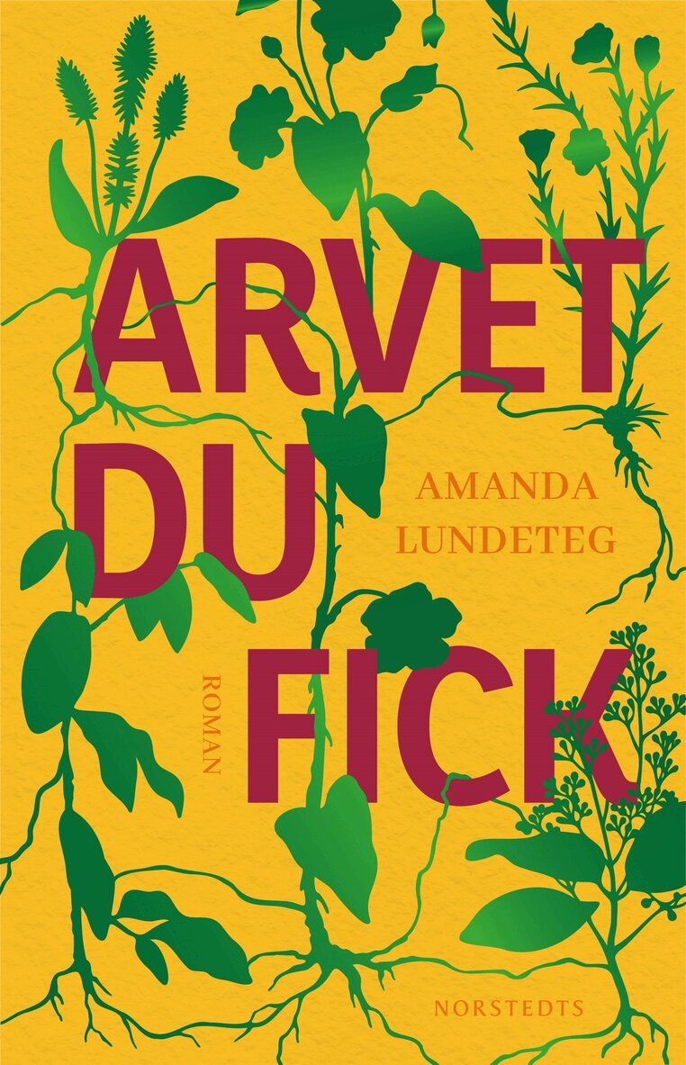 Amanda Lundeteg - Arvet du fick, E-bok