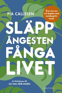 Slpp ngesten, fnga livet : vervinn oro och ngslan med metakognitiv terapi