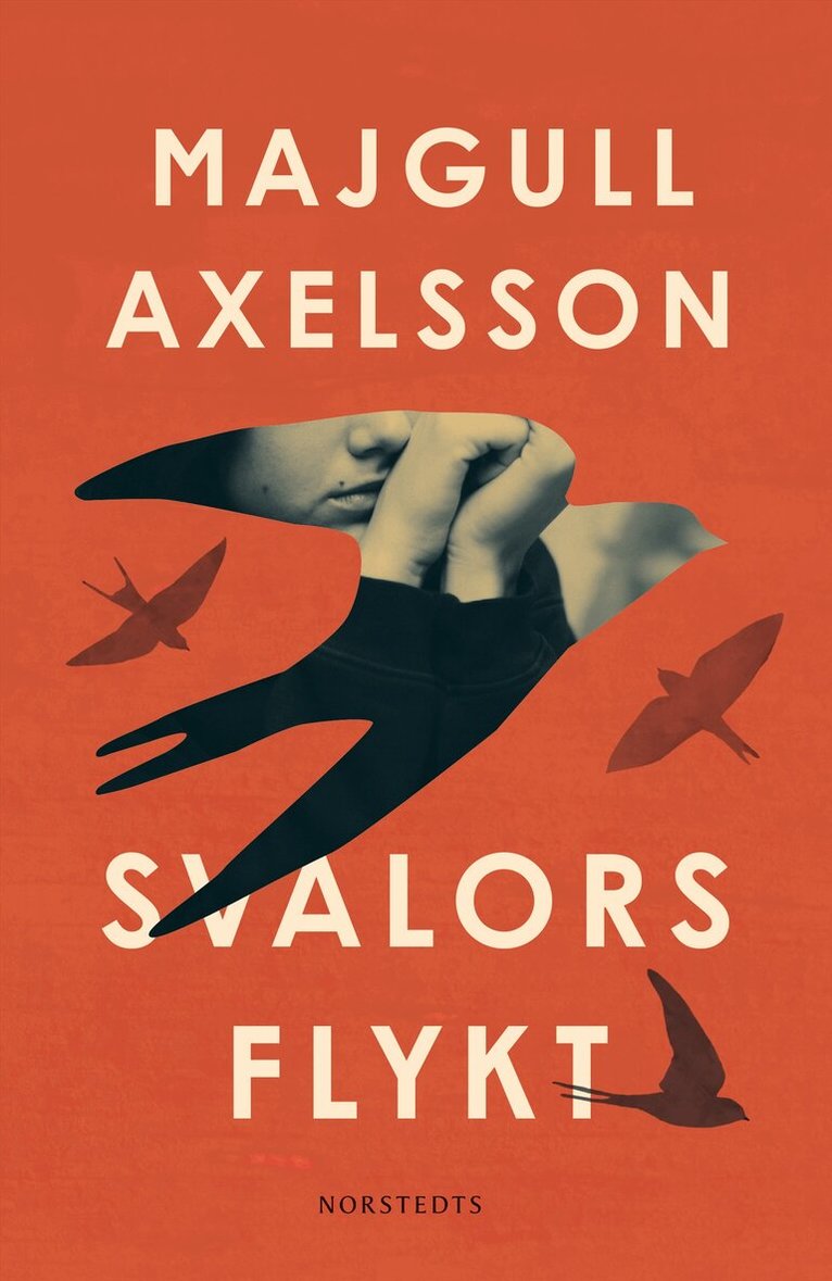Majgull Axelsson - Svalors flykt, E-bok