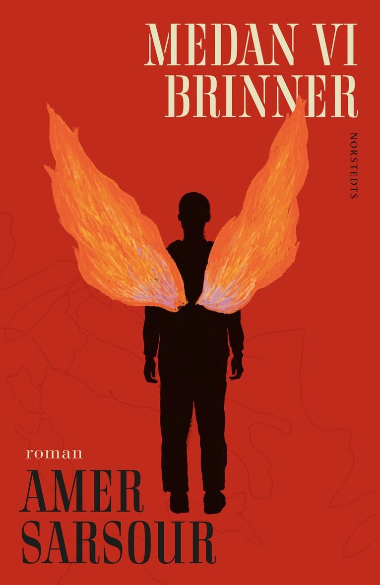 Amer Sarsour - Medan vi brinner, E-bok