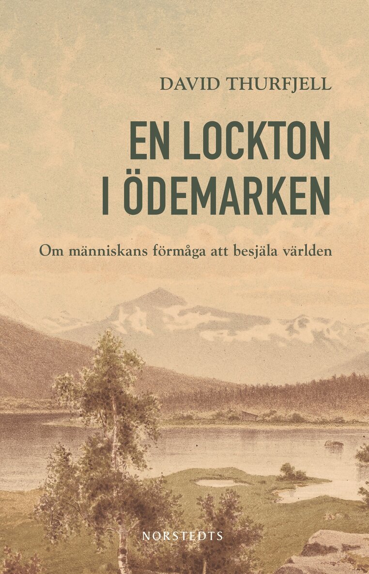 David Thurfjell - En lockton i ödemarken : om människans förmåga att besjäla världen, E-bok