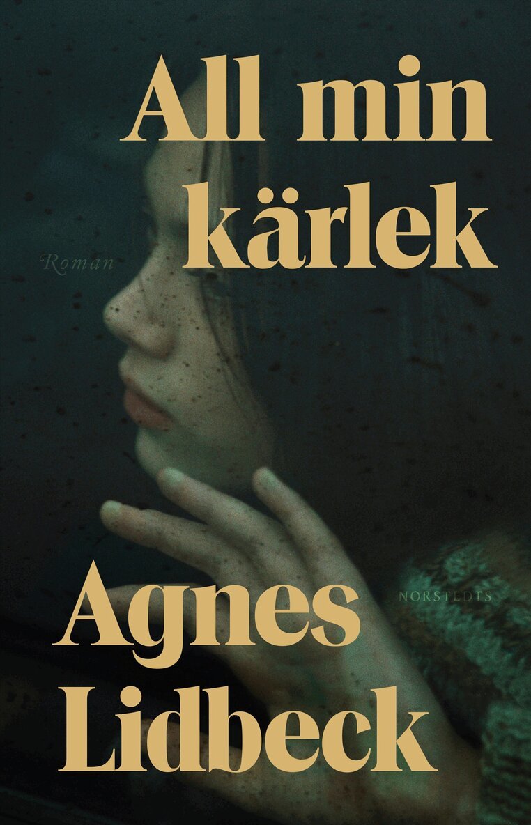 Agnes Lidbeck - All min kärlek, E-bok