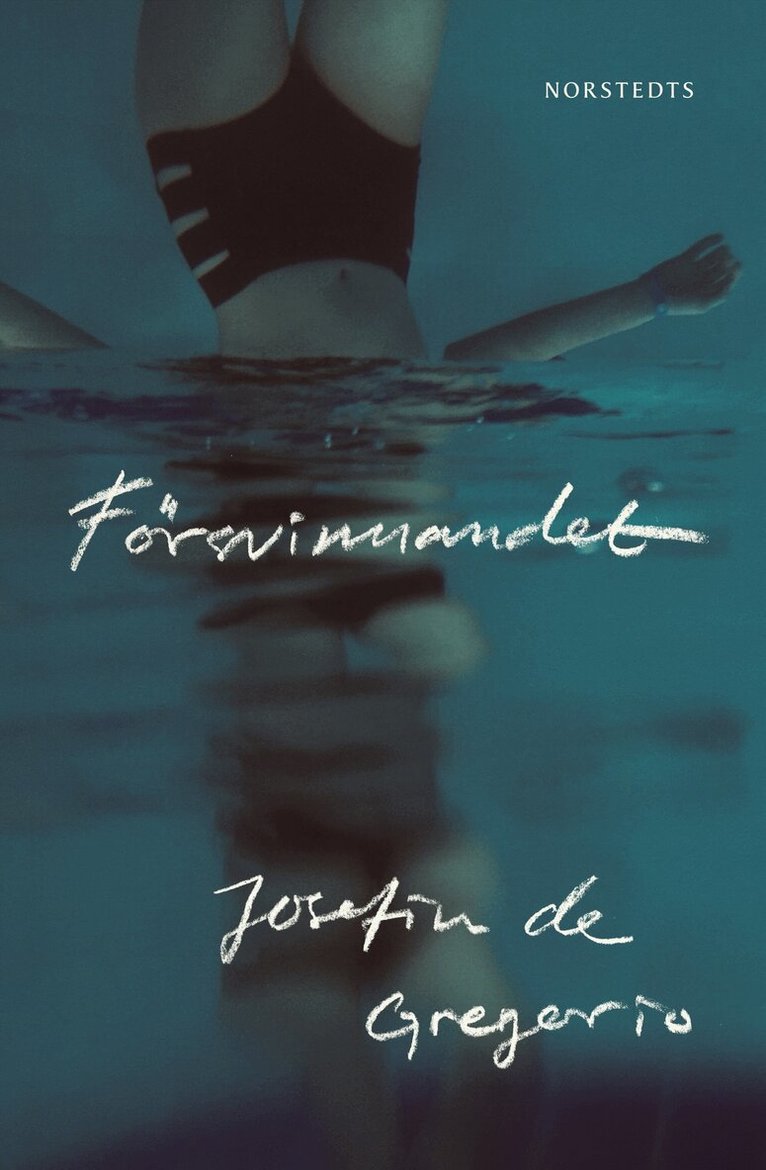 Josefin de Gregorio - Försvinnandet, E-bok