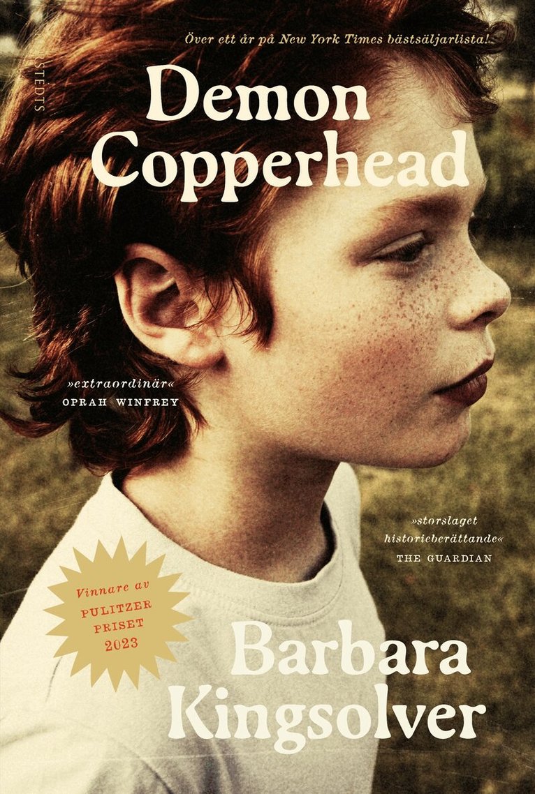 Barbara Kingsolver - Demon Copperhead, E-bok