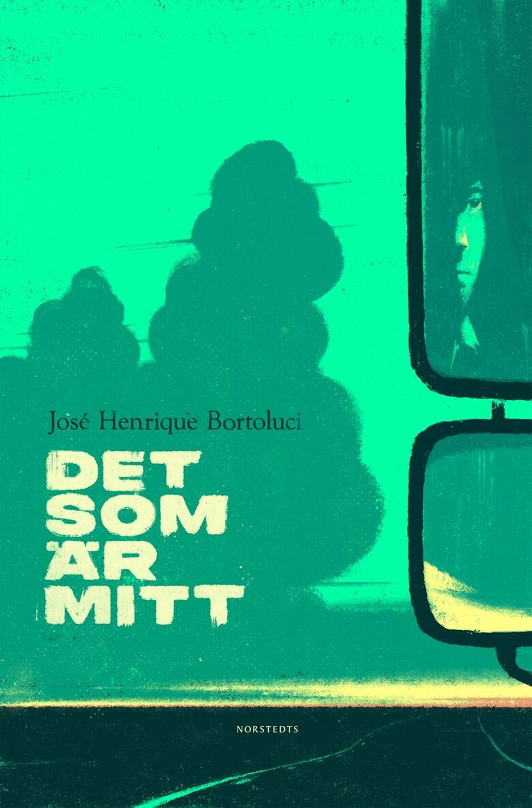 José Henrique Bortoluci - Det som är mitt, E-bok