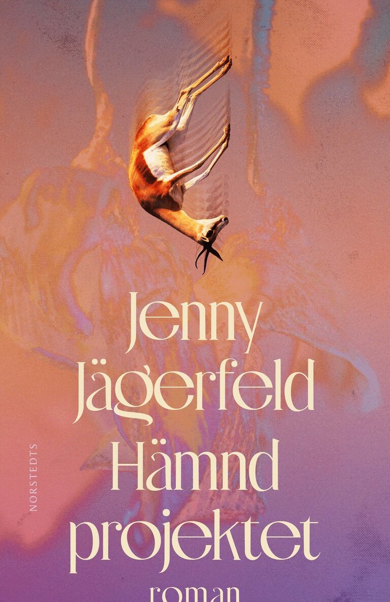 Jenny Jägerfeld - Hämndprojektet, E-bok