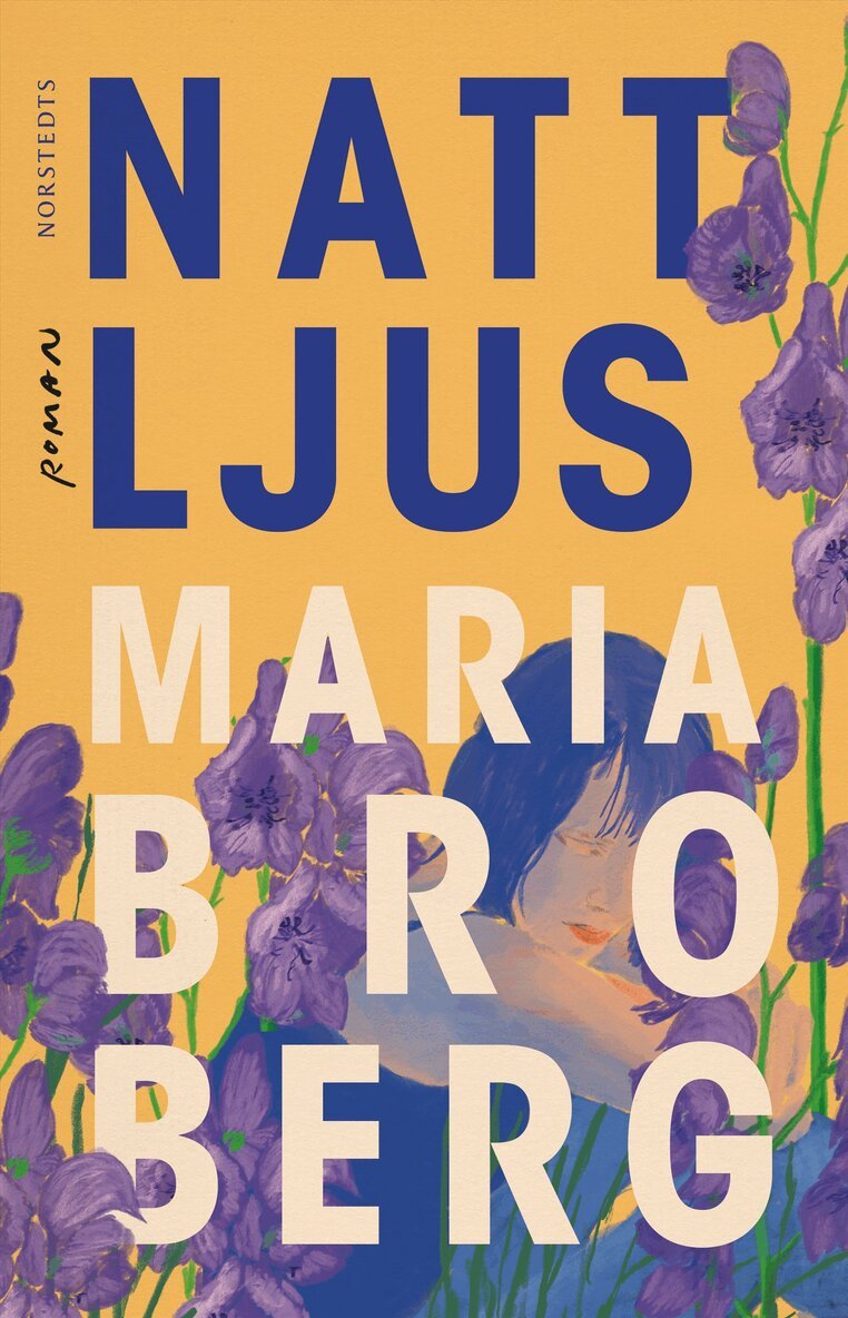 Maria Broberg - Nattljus, E-bok