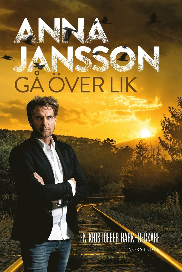 Anna Jansson - Gå över lik, E-bok
