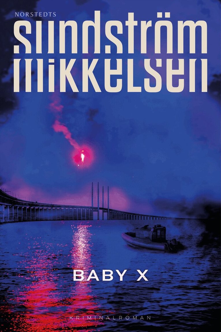Lena Sundström, Jens Mikkelsen - Baby X, E-bok