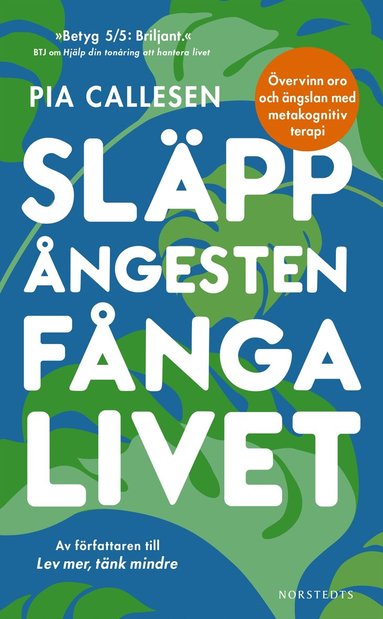Pia Callesen - Släpp ångesten, fånga livet : övervinn oro och ängslan med metakognitiv terapi, Pocket