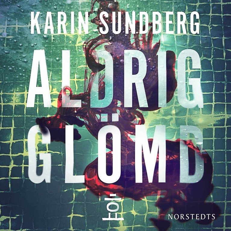 Karin Sundberg - Aldrig glömd, Ljudbok