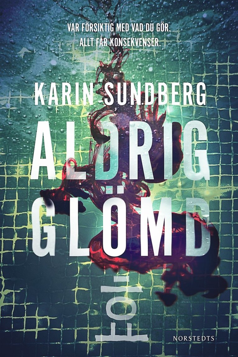 Karin Sundberg - Aldrig glömd, E-bok