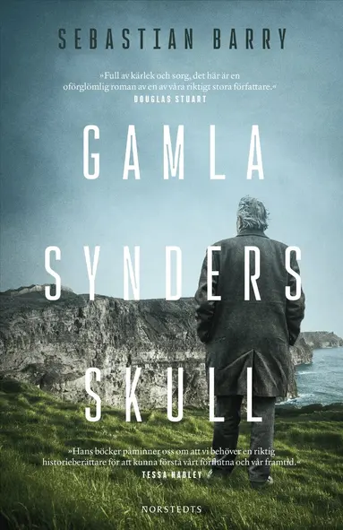 Sebastian Barry - Gamla synders skull, E-bok