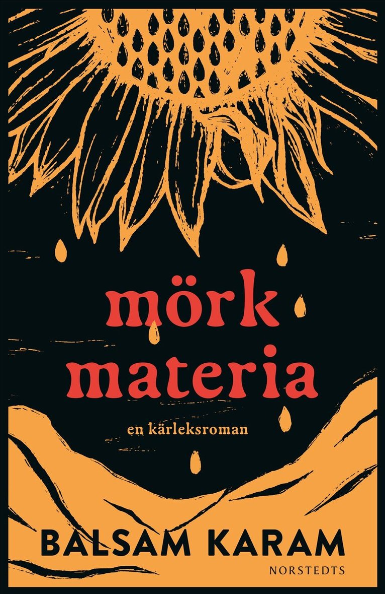 Balsam Karam - Mörk materia : En kärleksroman, E-bok