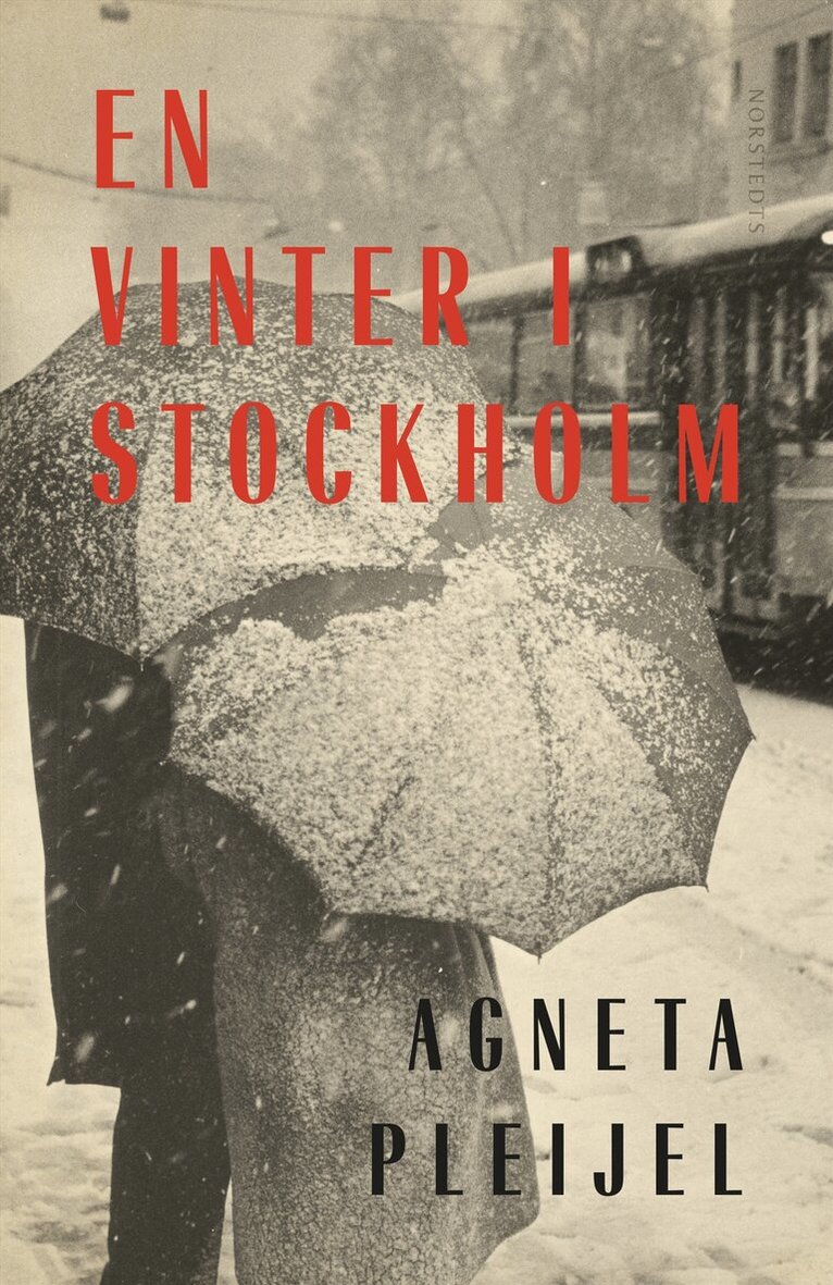 Agneta Pleijel - En vinter i Stockholm, E-bok