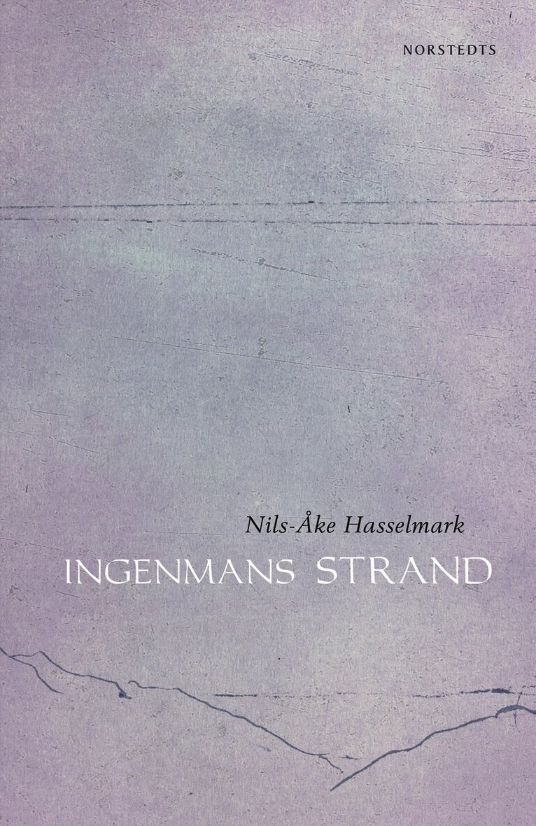 Nils-Åke Hasselmark - Ingenmans strand, E-bok