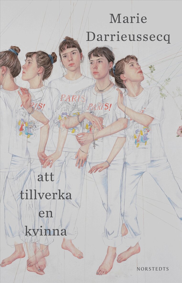 Marie Darrieussecq - Att tillverka en kvinna, E-bok