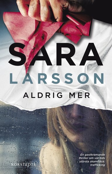 Sara Larsson Aldrig mer