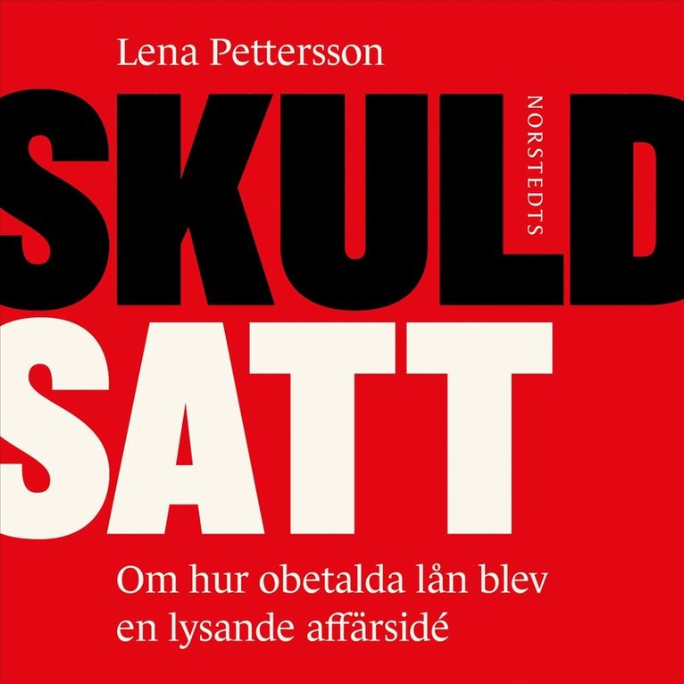 Lena Pettersson - Skuldsatt : om hur obetalda lån blev en lysande affärsidé, Ljudbok