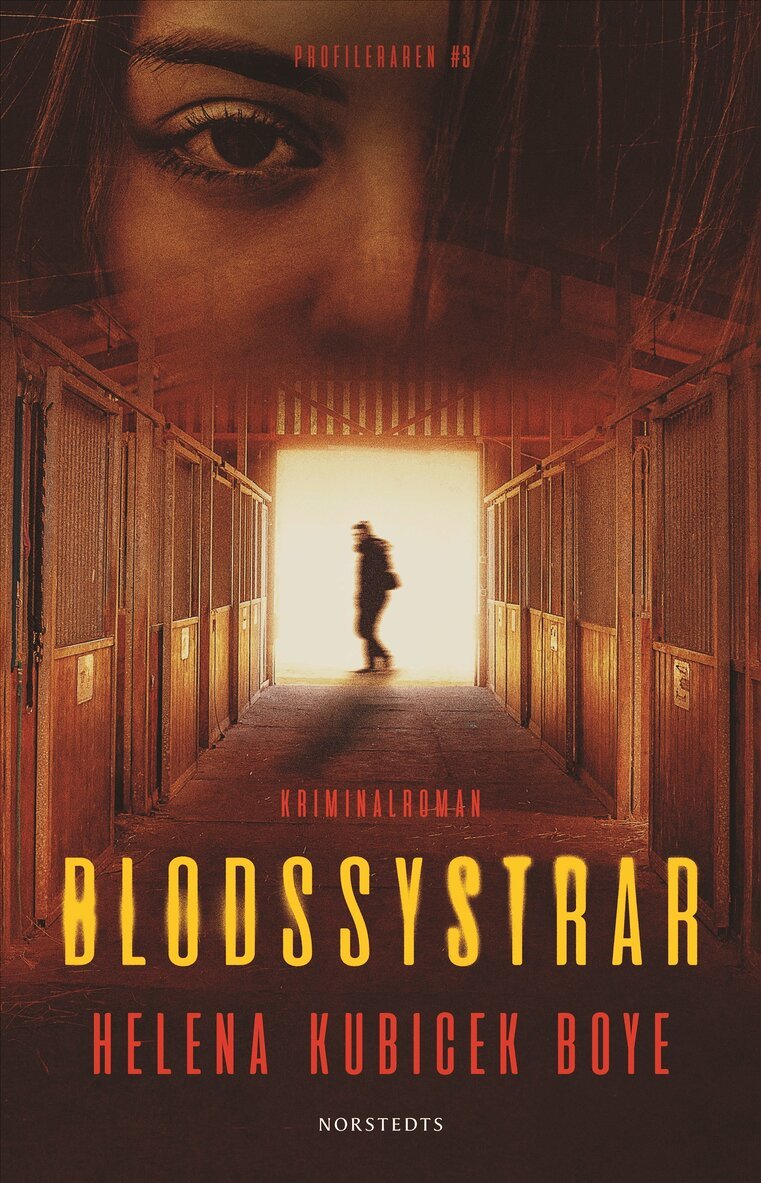 Helena Kubicek Boye - Blodssystrar, E-bok