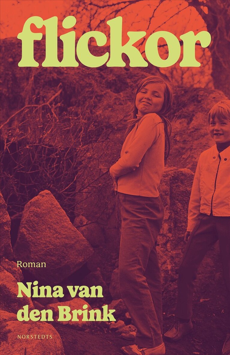 Nina van den Brink - Flickor, E-bok