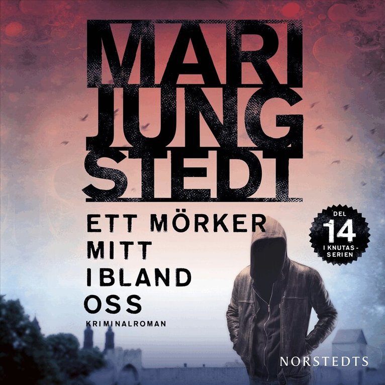Mari Jungstedt - Ett mörker mitt ibland oss, Ljudbok